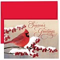 JAM Paper® Christmas Holiday Cards Set, Winter Cardinal, 18/pack (526869000)