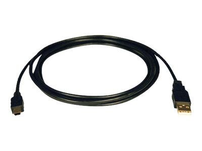Tripp Lite 6 USB 2.0 Type A to Mini Type B Male/Male Hi-Speed Data Transfer Cable; Black (U030-006)