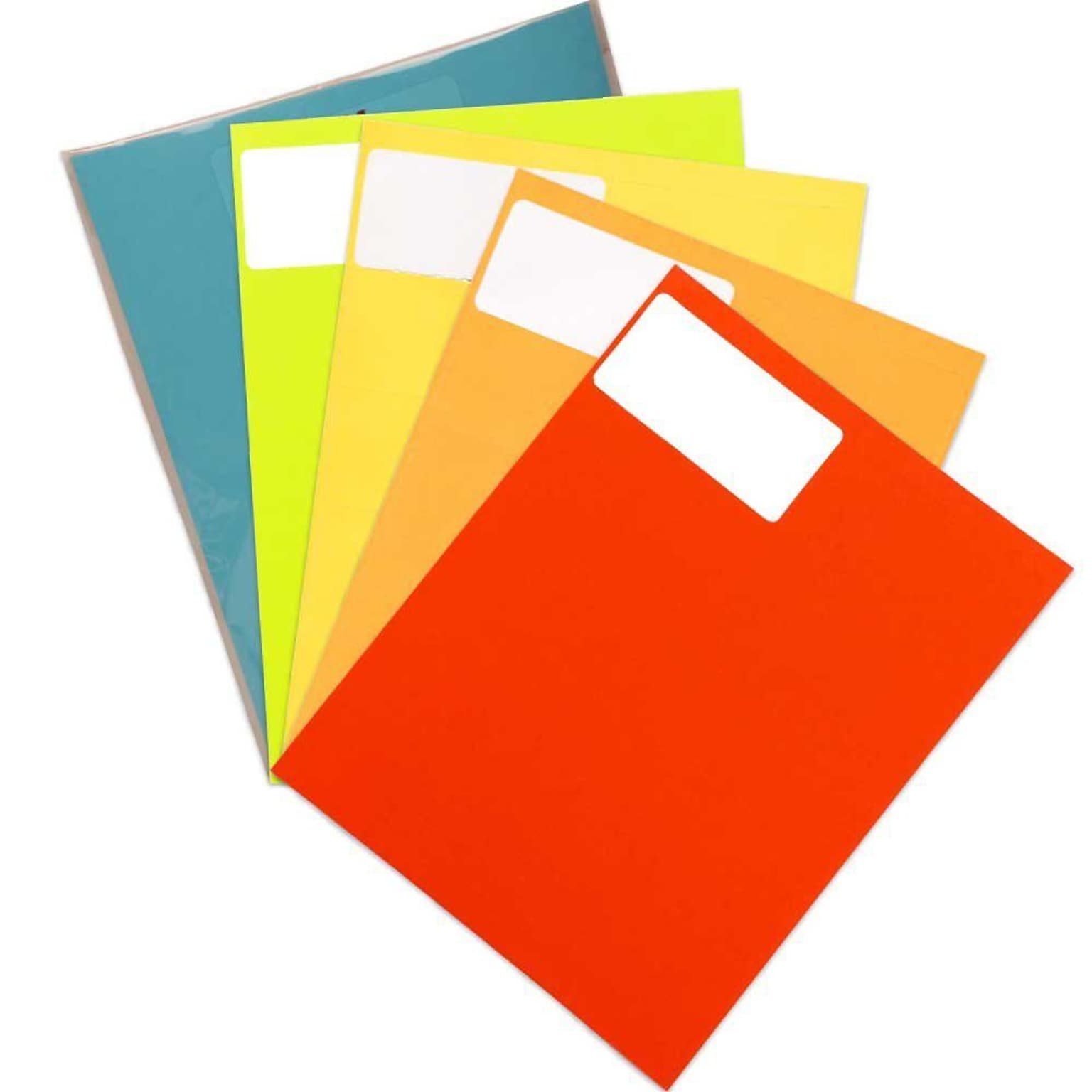 JAM Paper® Shipping Labels, 2 x 4, Assorted, 10 Labels/Sheet, 12 Sheets/Pack, 5 Packs/Box, 600 Total Labels (30272ASST24)