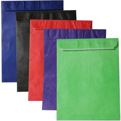 JAM Paper Open End Clasp #13 Catalog Envelope, 10" x 13", Assorted, 25/Pack (V0123ASSRTD)