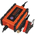 Black Decker Waterproof Battery Charger/maintainer (2 Amps)