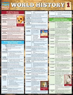 BarCharts, Inc. QuickStudy® World History Reference Set (9781423230120)