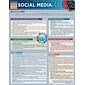 BarCharts, Inc. QuickStudy® Social Media Marketing Reference Set (9781423230182)