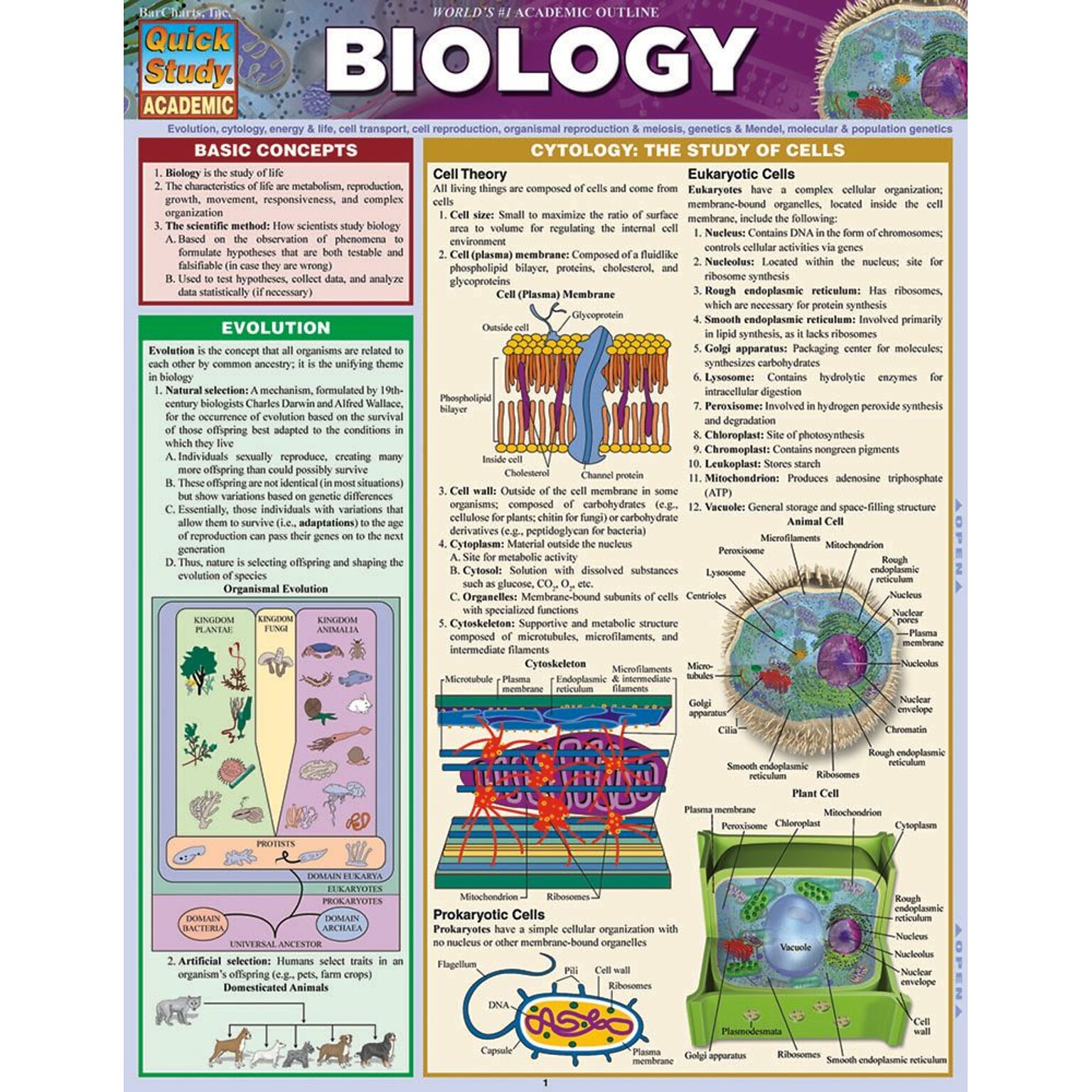 BarCharts, Inc. QuickStudy® Biology Reference Set (9781423230267)