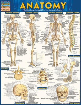 BarCharts, Inc. QuickStudy® Anatomy Advanced Reference Set (9781423230403)