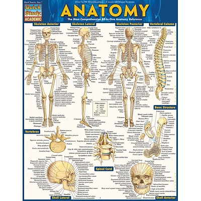 BarCharts, Inc. QuickStudy® Medical Terminology Reference Set (9781423230359)