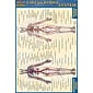 BarCharts, Inc. QuickStudy® Anatomy 4x6 Pocket Reference Set (9781423230410)