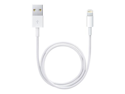 Apple Data Transfer Cable; 0.5m, White, Lightning to USB (ME291AM/A)