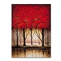 Trademark Fine Art Rio Serenade in Red Canvas Art 24x32 Inches
