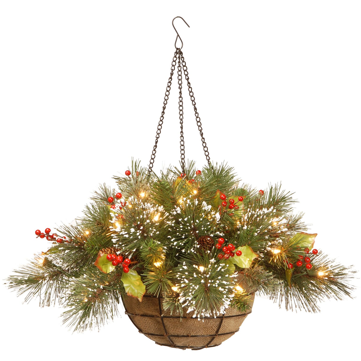 National Tree Wintry Pine Hanging Basket with 11 Cones and 35 Warm White Battery Operated LED Lights, 20 (WP1-388-20HB-1)
