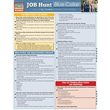 BarCharts, Inc. QuickStudy® Job Hunt Reference Set (9781423230199)