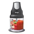 Ninja  Express Chop 3-Cup Food Processor, Gray (NJ110)