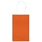 Amscan Cub Bags Value Pack, Orange Peel, 4/Pack (162500.05)