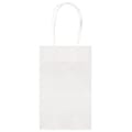 Amscan Cub Bags Value Pack, White, 4 Bags/Pack (162500.08)