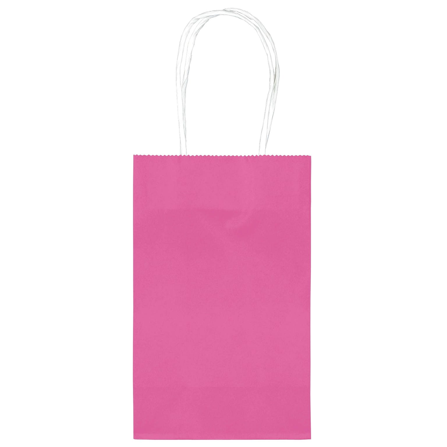 Amscan Cub Bags Value Pack, Bright Pink, 4 Bags/Pack (162500.103)