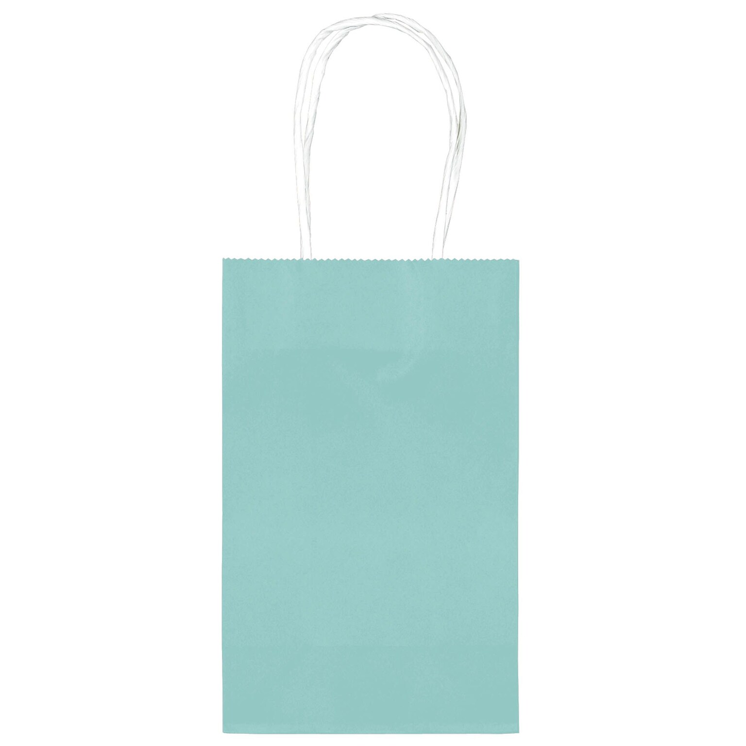 Amscan Kraft Paper Bag, 8.25 x 5.25, Robins Egg Blue, 4/Pack, 10 Bags/Pack (162500.121)