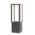Waddell Prominence Spotlight 24W x 72H x 24D Lighted Tower Case, Clear Glass Back, Dk. Bronze Fin