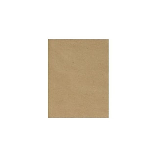 Astrobrights Cardstock Paper, 65 lbs, 8.5 x 11, Terra Green, 250/Pack (22781)