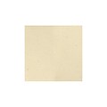 LUX® 12 x 12 Cardstock, Stone, 250/PK (1212-C-83-250)