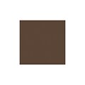 LUX® Cardstock, 12 x 12, Chocolate Brown, 1000/Pack (1212-C-17-1M)