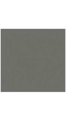 LUX® 12x 12 Cardstock, Smoke Gray, 50/Pack (1212-C-22-50)