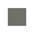 LUX® Cardstock, 12 x 12, Smoke Gray, 500 Sheets (1212-C-22-500)