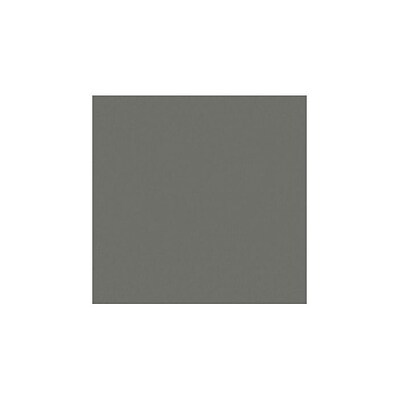 LUX® 12x 12 Cardstock, Smoke Gray, 50/Pack (1212-C-22-50)