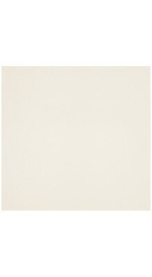 LUX® 12 x 12 Cardstock, Quartz Metallic, 50/PK (1212-C-08-50)