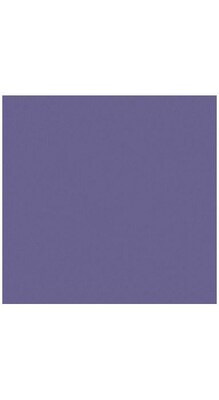 LUX® 12 x 12 Cardstock, Wisteria Purple, 50/PK (1212-C-106-50)