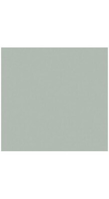 LUX Colored Paper, 28 lbs., 12 x 12, Slate Gray, 50 Sheets/Pack (1212-P-79-50)