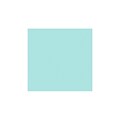 LUX® 12 x 12 Cardstock, Seafoam Blue, 50/PK (1212-C-113-50)