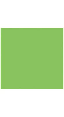 LUX® 12 x 12 Cardstock, Limelight Green, 50/PK (1212-C-101-50)