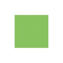 LUX® 12 x 12 Cardstock, Limelight Green, 50/PK (1212-C-101-50)