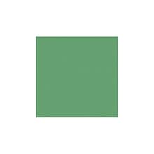LUX 12x12 Cardstock; Holiday Green, 50/PK