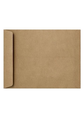 LUX® 6 x 9 Open End Envelope, Grocery Bag Brown, 500/PK (1644-GB-500)