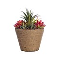 Vintage Home 10.5 Tall Succulents in 8.5W x 8.5D Hemp Rope Container (VHA102444)