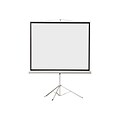 EluneVision 70 by 70  Tripod Projector Screen