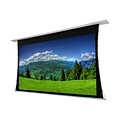 EluneVision 120 16:9 Titan Tab Tensioned Motorized Projector Screen