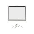 EluneVision 96 by 96  Tripod Projector Screen