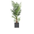 Vintage Home 82 Tall Areca Palm Tree in Planter (VHX108215)