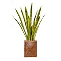 Vintage Home 44 Tall Snake Plant in Planter (VHX121207)