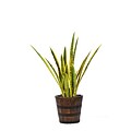 Vintage Home 43 Tall Snake Plant in Planter (VHX121216)