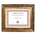 NuDell Executive Series Document And Photo Frame, 8 x 10, Gold Frame (15169)