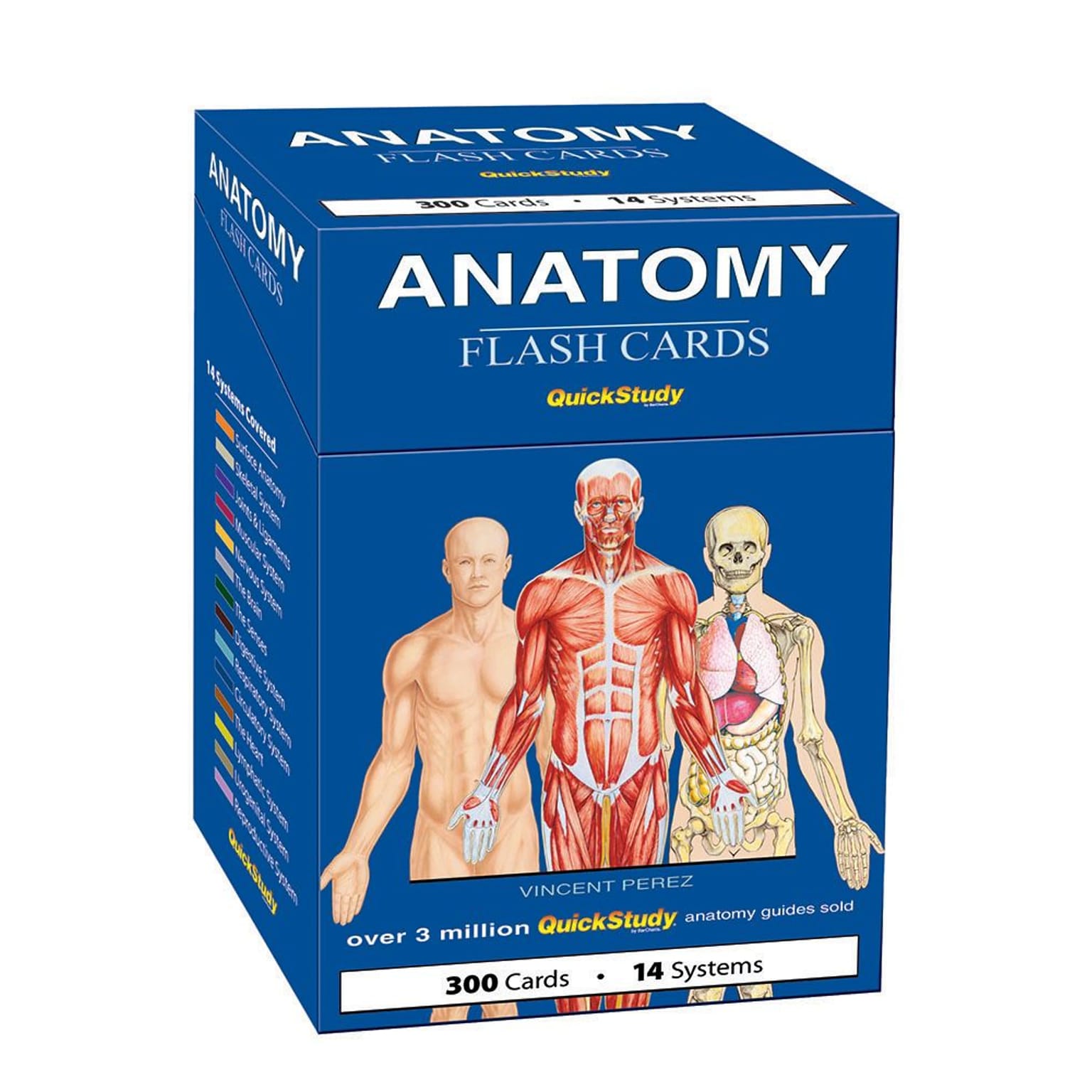 BarCharts, Inc. QuickStudy® Anatomy Flashcard & Reference Set (9781423230694)