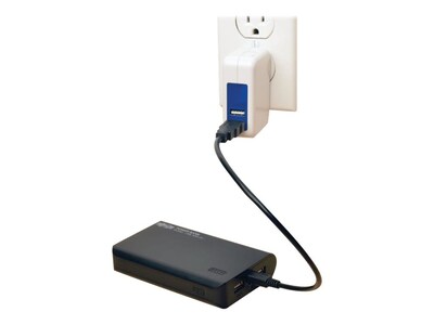 Tripp Lite 10000 mAh Mobile USB Power Bank with LED Flashlight; Black (UPB-10K0-2U)