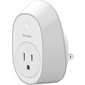 TP-Link Wi-Fi Smart Plug (HS100)