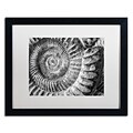 Trademark Fine Art Amonita 1 by Moises Levy 16 x 20 White Matted Black Frame (ALI1050-B1620MF)