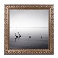 Trademark Fine Art 4 Herons by Moises Levy 16 x 16 Ornate Frame (ALI1089-G1616F)