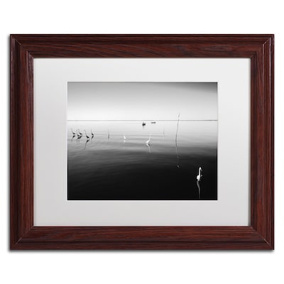 Trademark Fine Art 11 Herons by Moises Levy 11 x 14 White Matted Wood Frame (ALI1090-W1114MF)