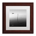 Trademark Fine Art Fly by Moises Levy 11 x 11 White Matted Wood Frame (ALI1092-W1111MF)